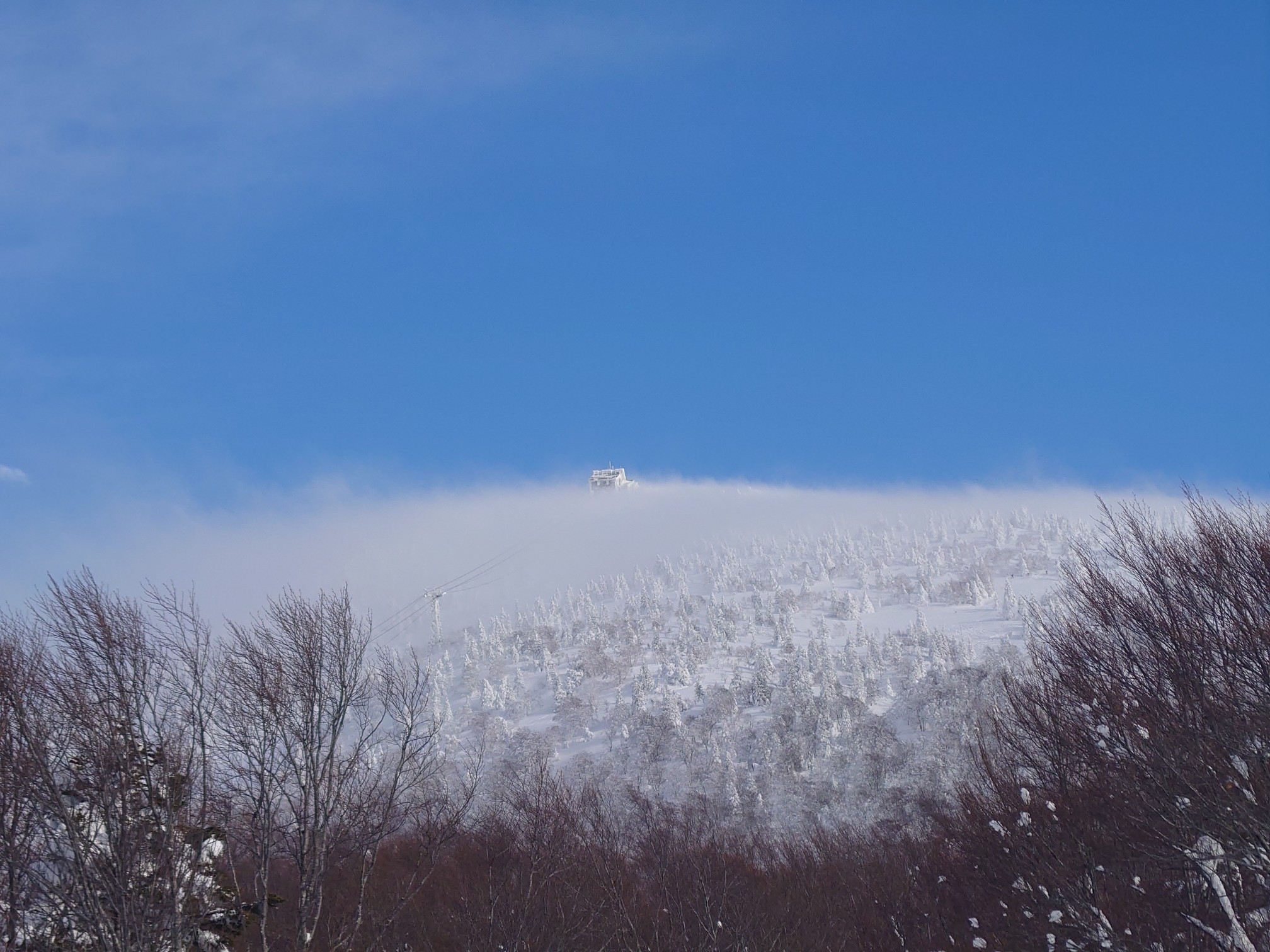 八甲田スキー場／八甲田国際スキー場