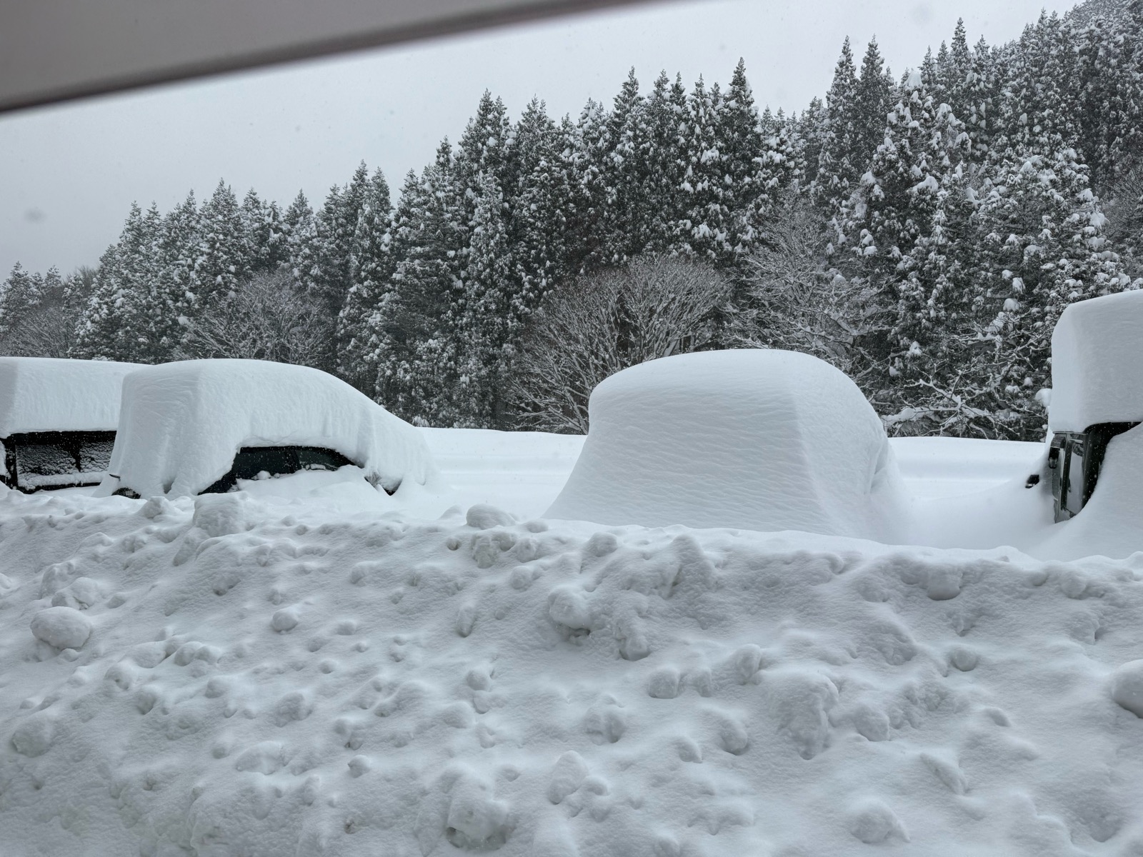 グランスノー奥伊吹