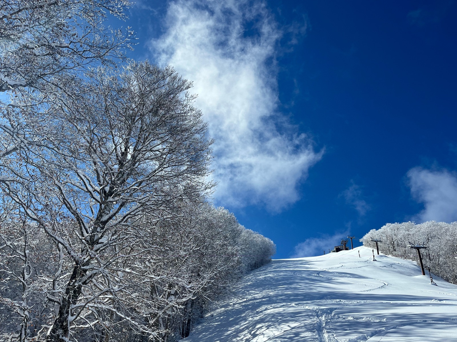 星野リゾート ネコマ マウンテン(北エリア)