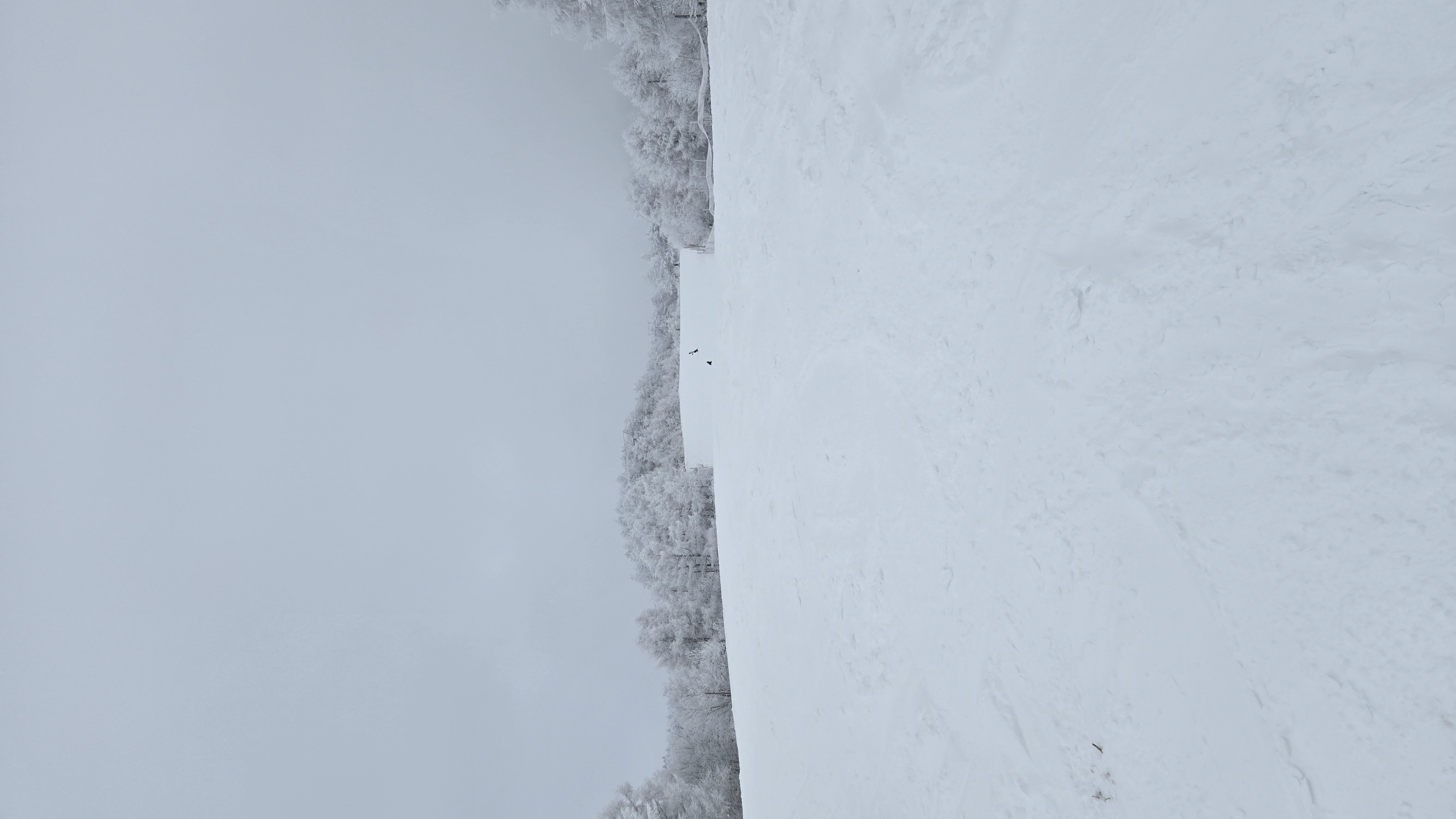 蔵王温泉スキー場