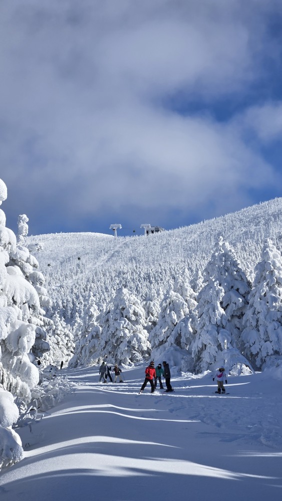 蔵王温泉スキー場