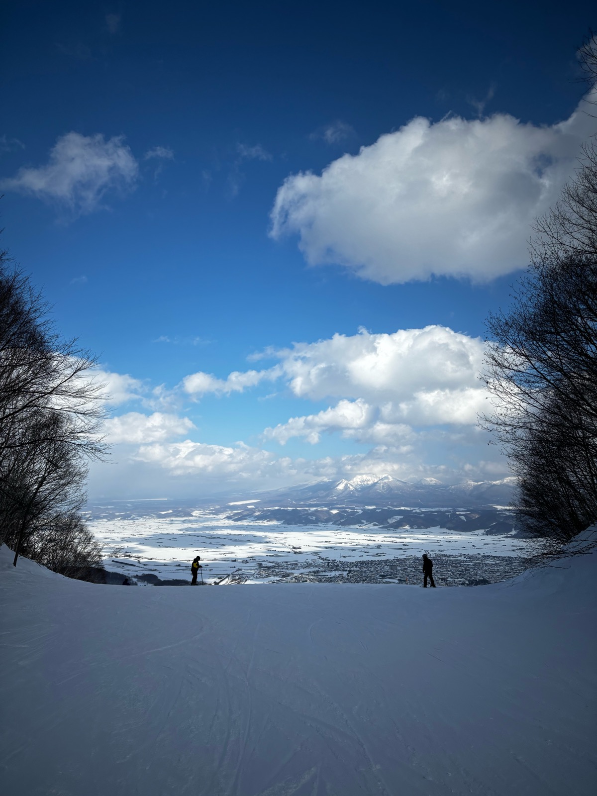 富良野スキー場