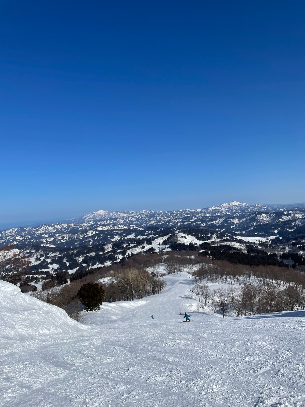 キューピットバレイ