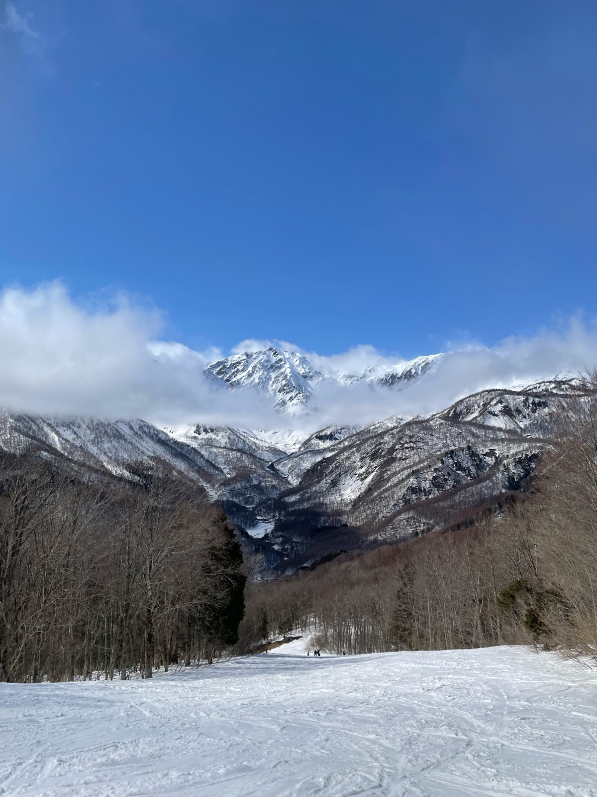 白馬岩岳スノーフィールド