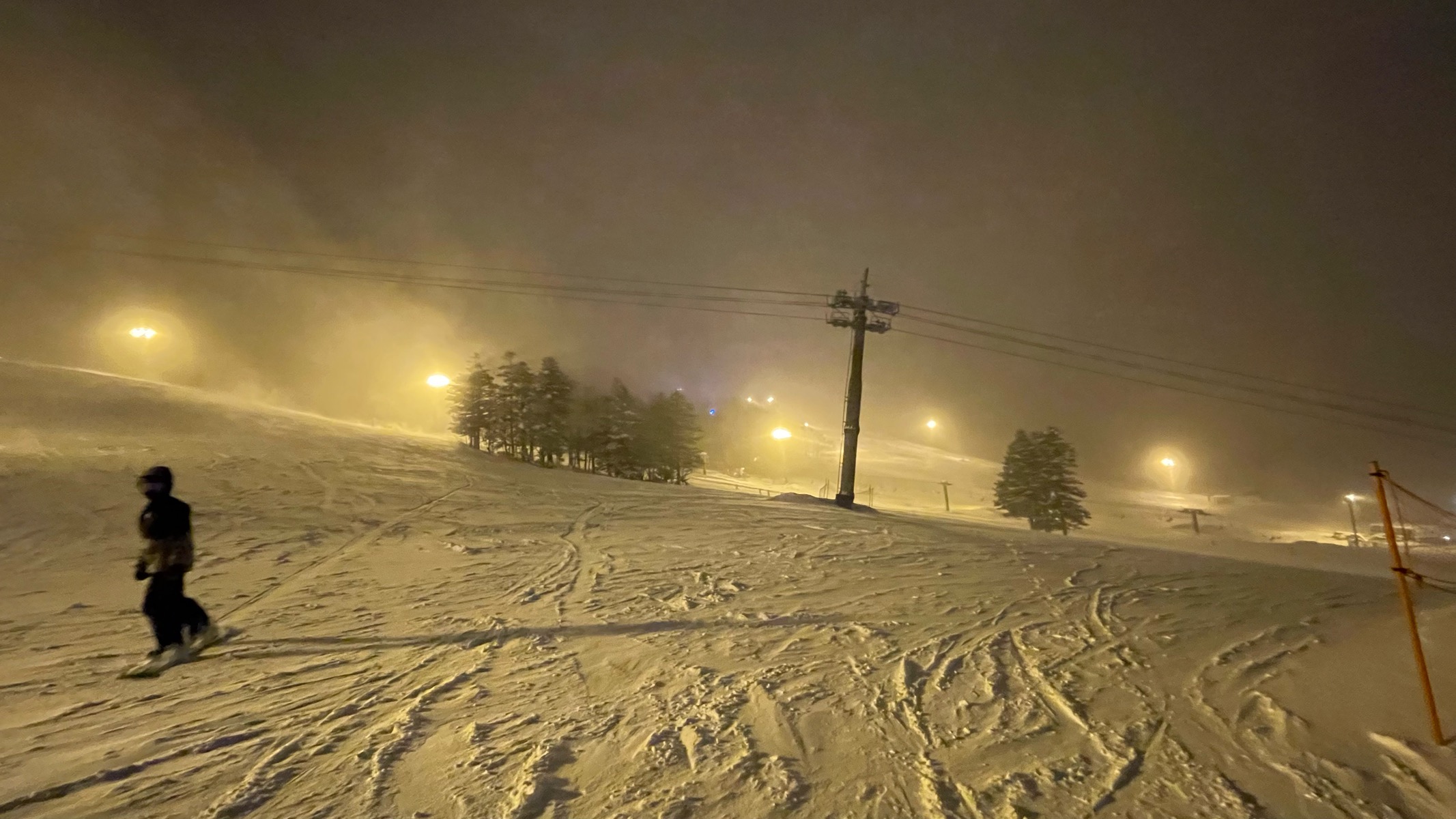 サッポロテイネ