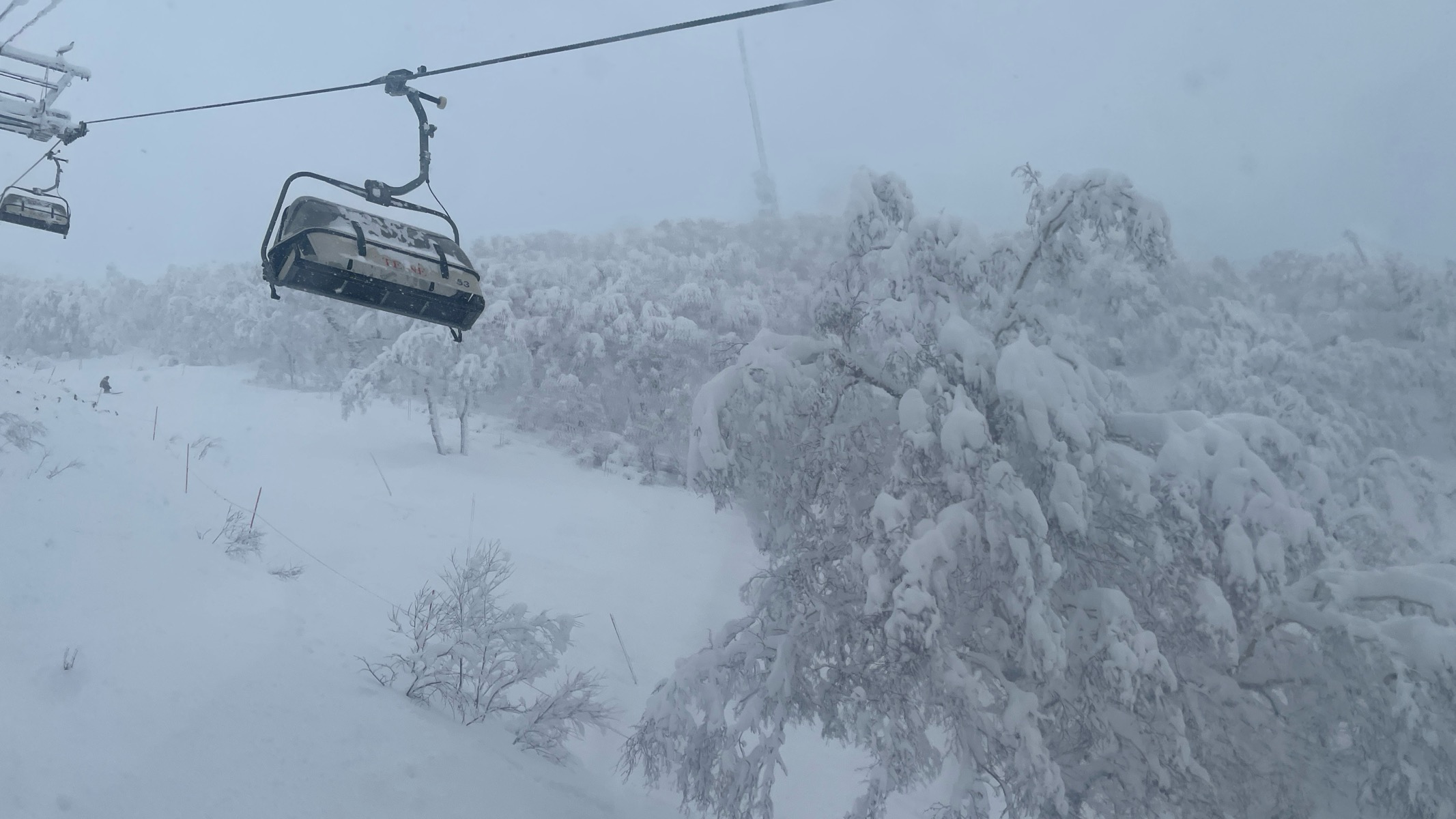 サッポロテイネ