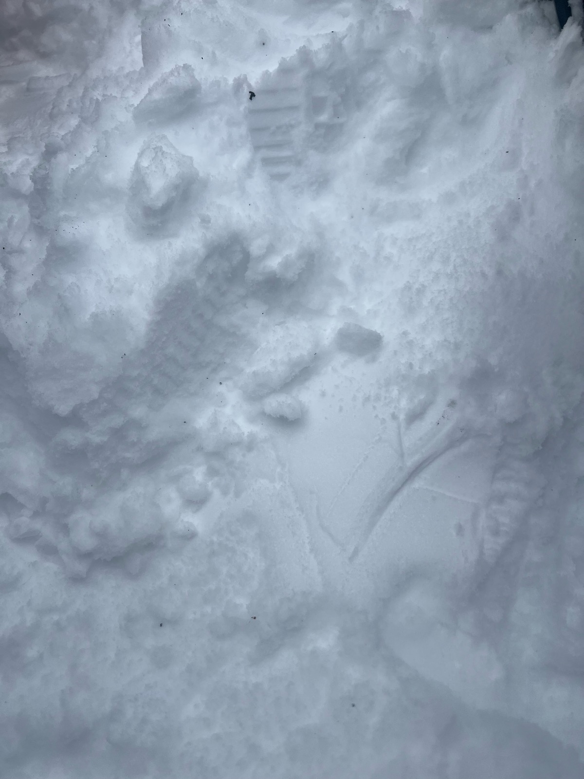 群馬みなかみ ほうだいぎスキー場