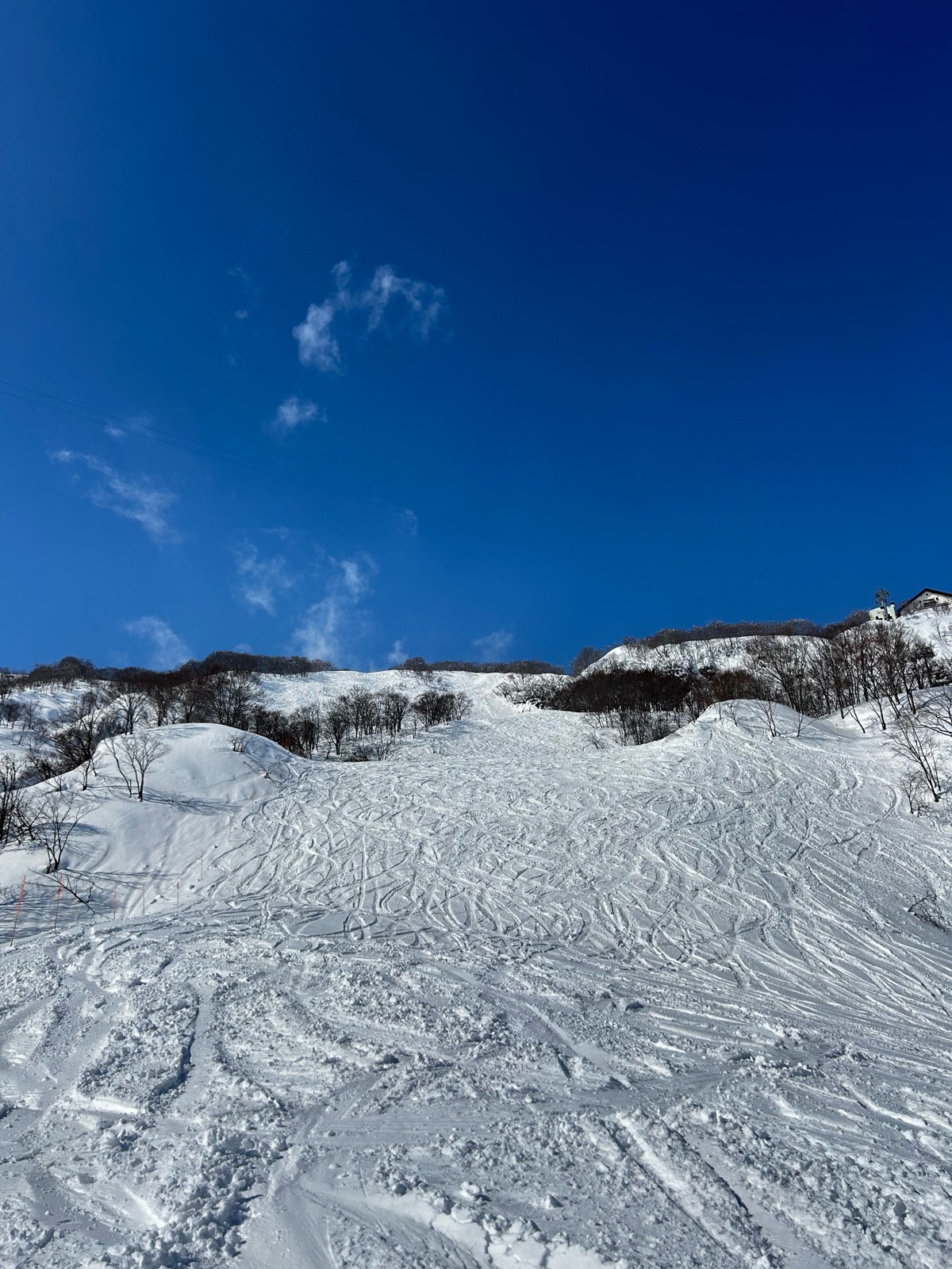 ロッテ アライリゾート