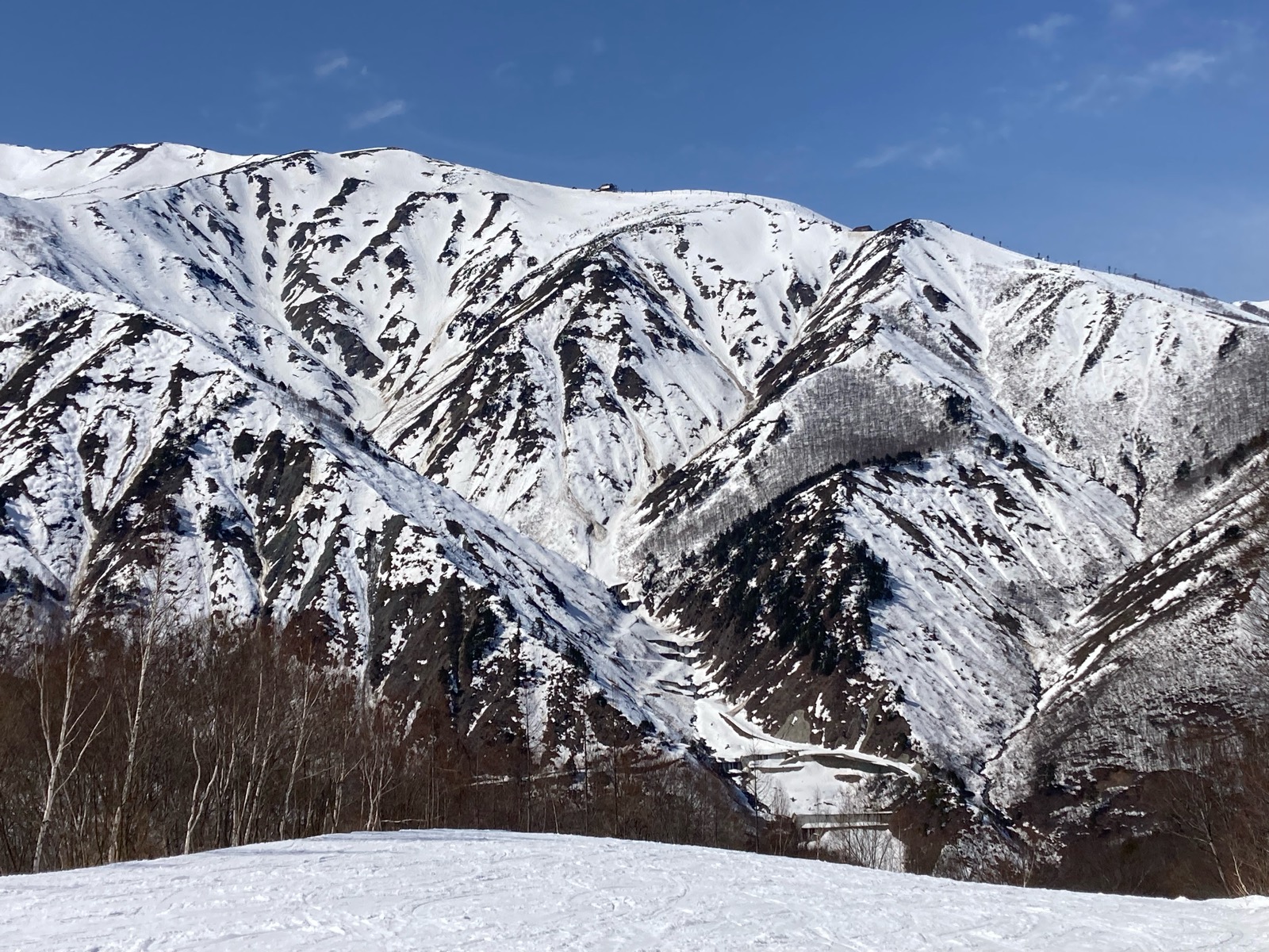 エイブル白馬五竜スキー場