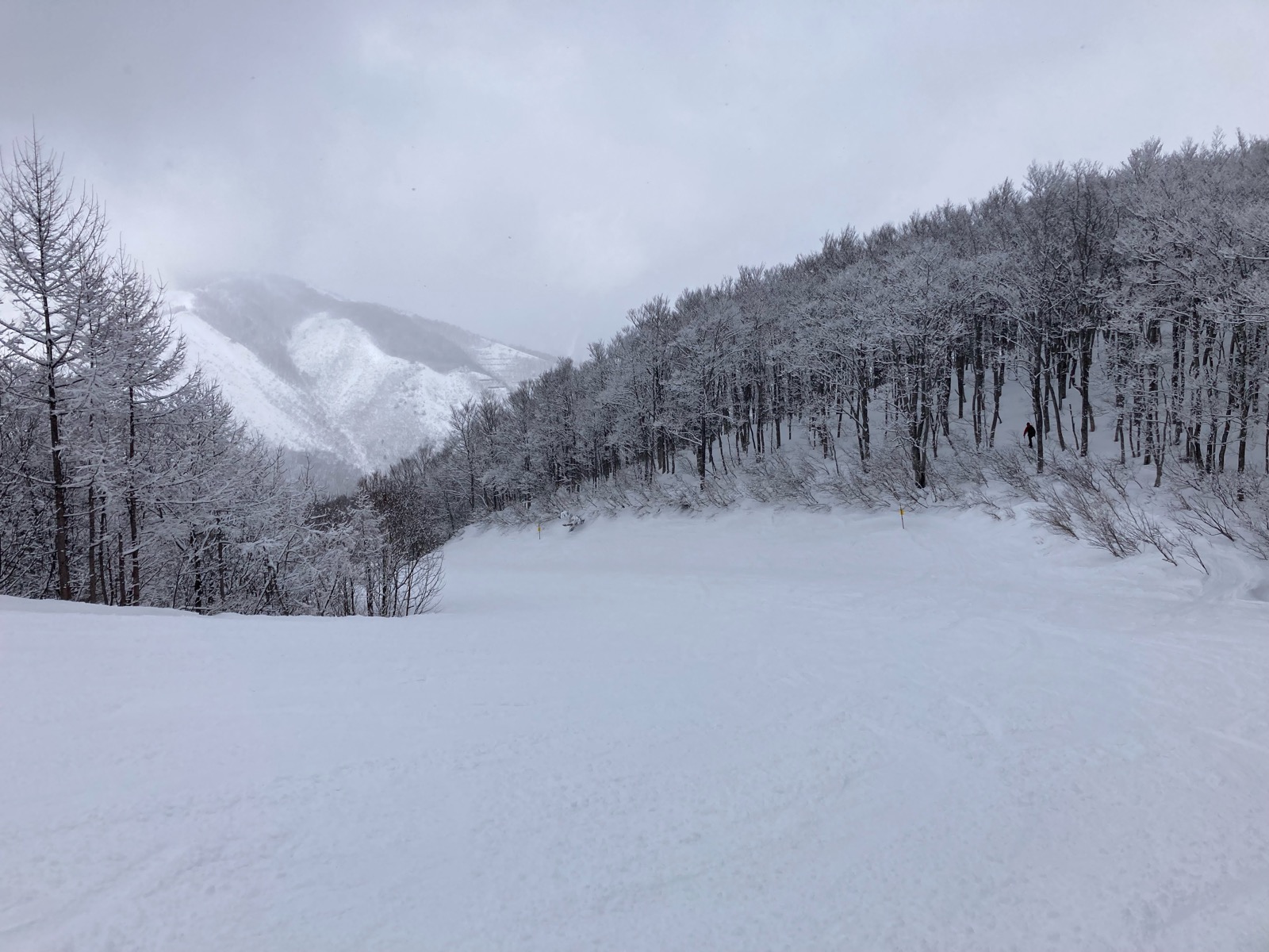 Hakuba47 ウィンタースポーツパーク 