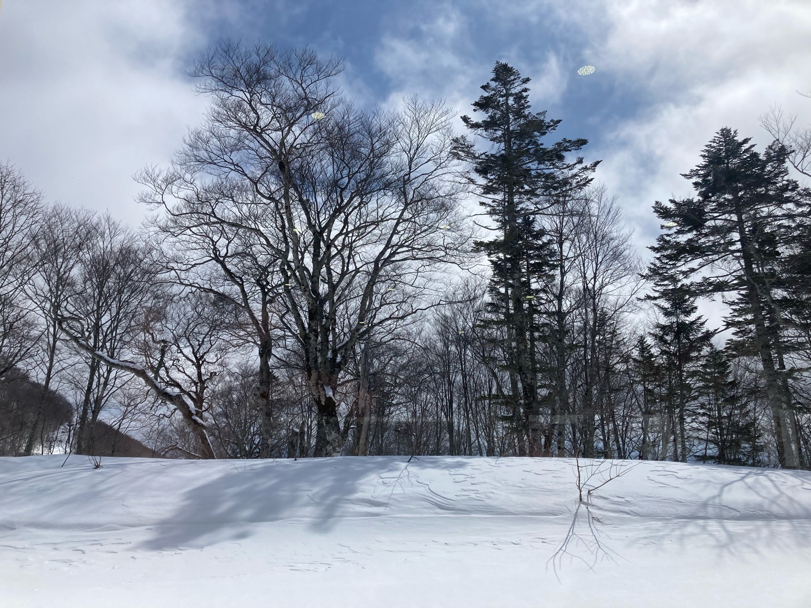 栂池高原スキー場