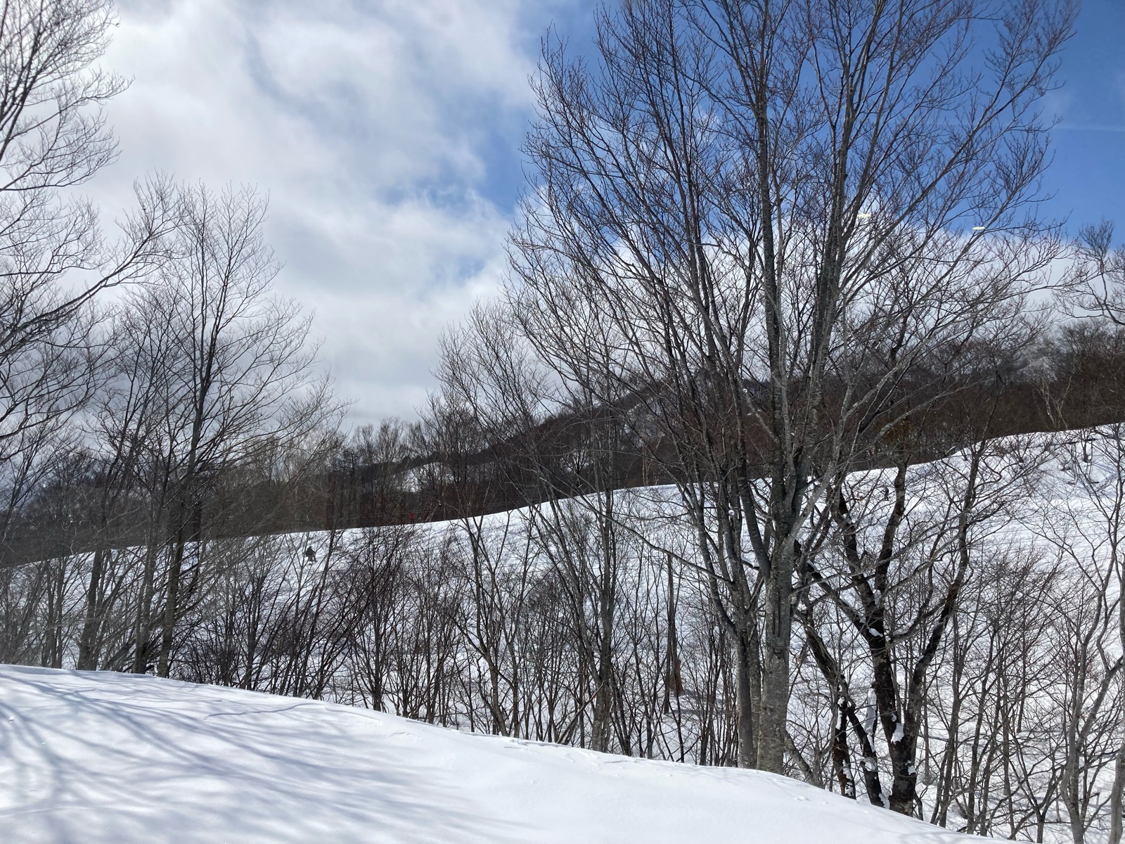 栂池高原スキー場