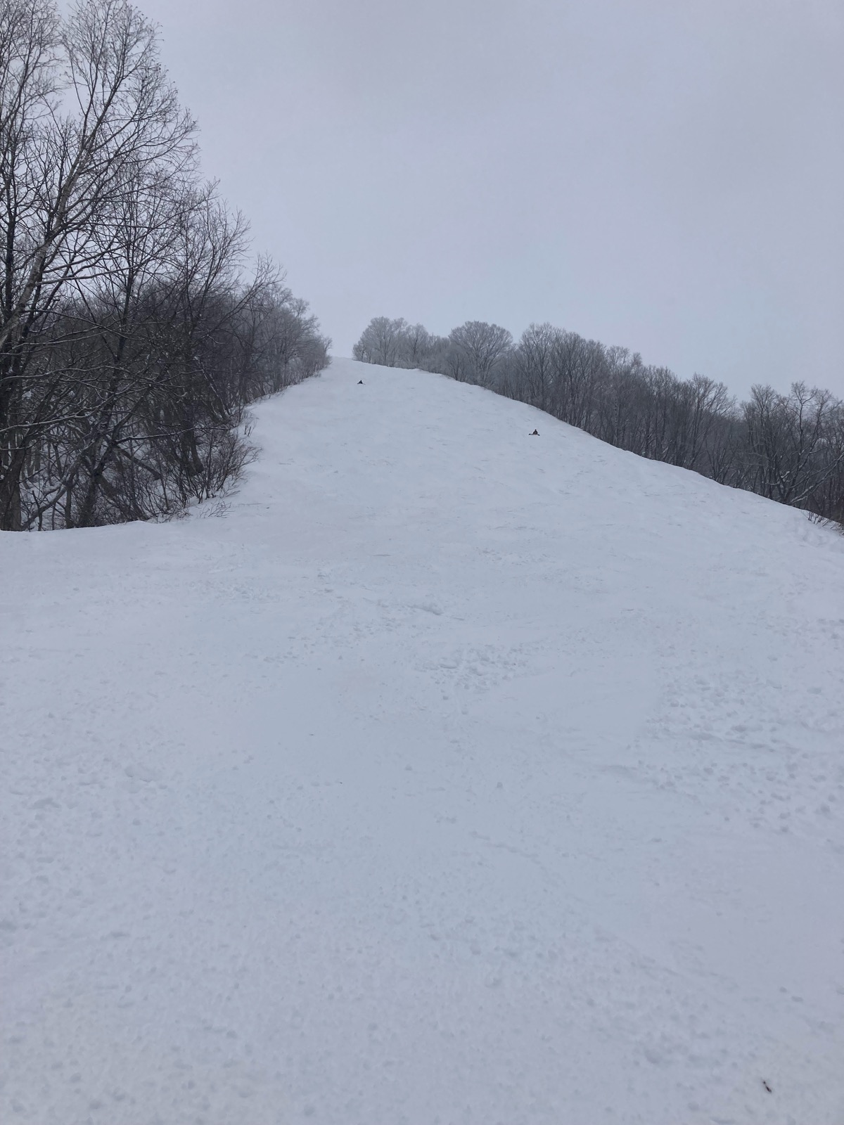 エイブル白馬五竜スキー場