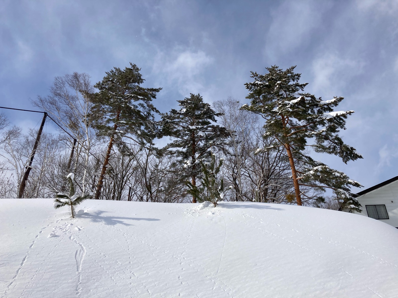 栂池高原スキー場