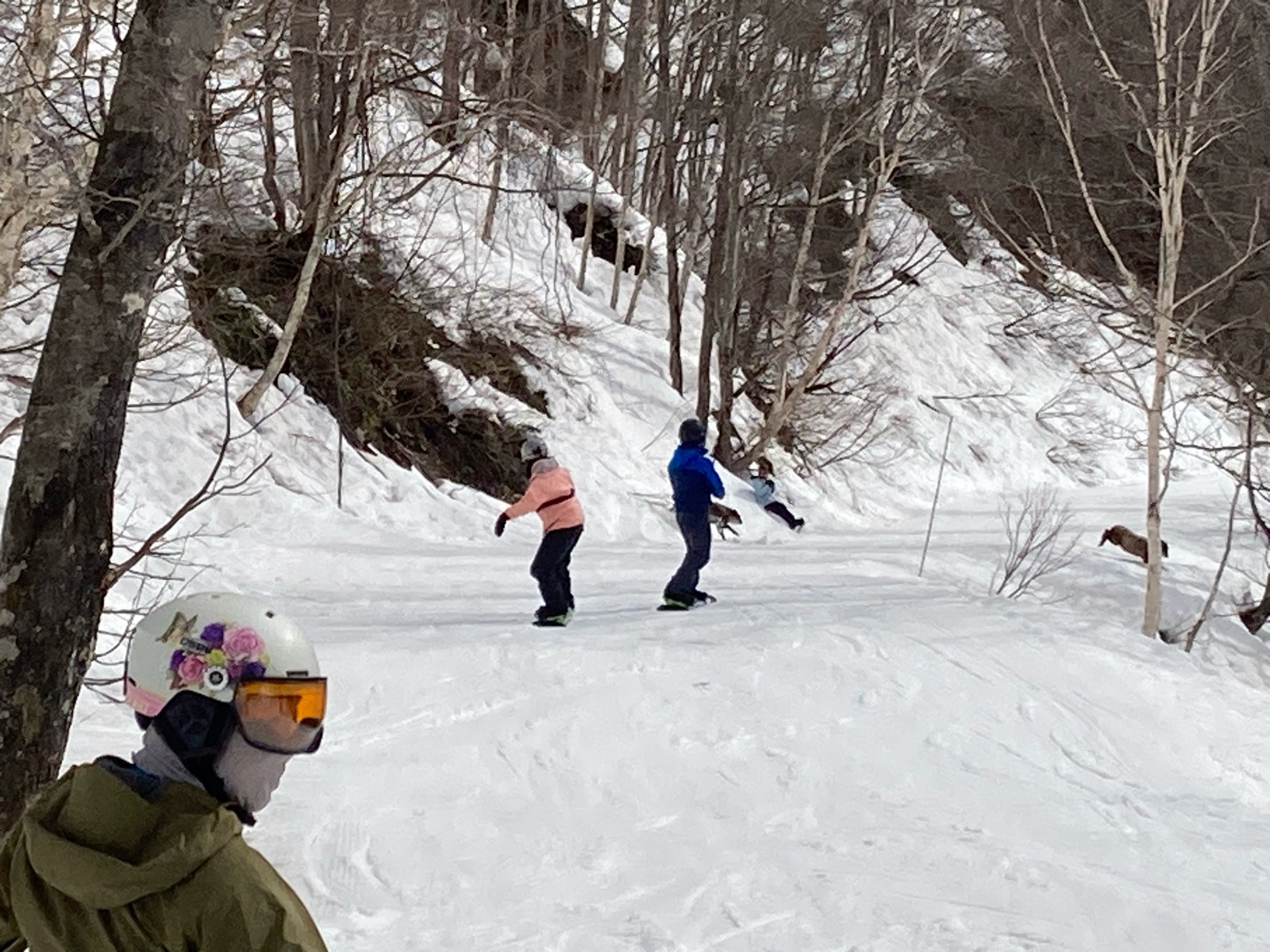 栂池高原スキー場