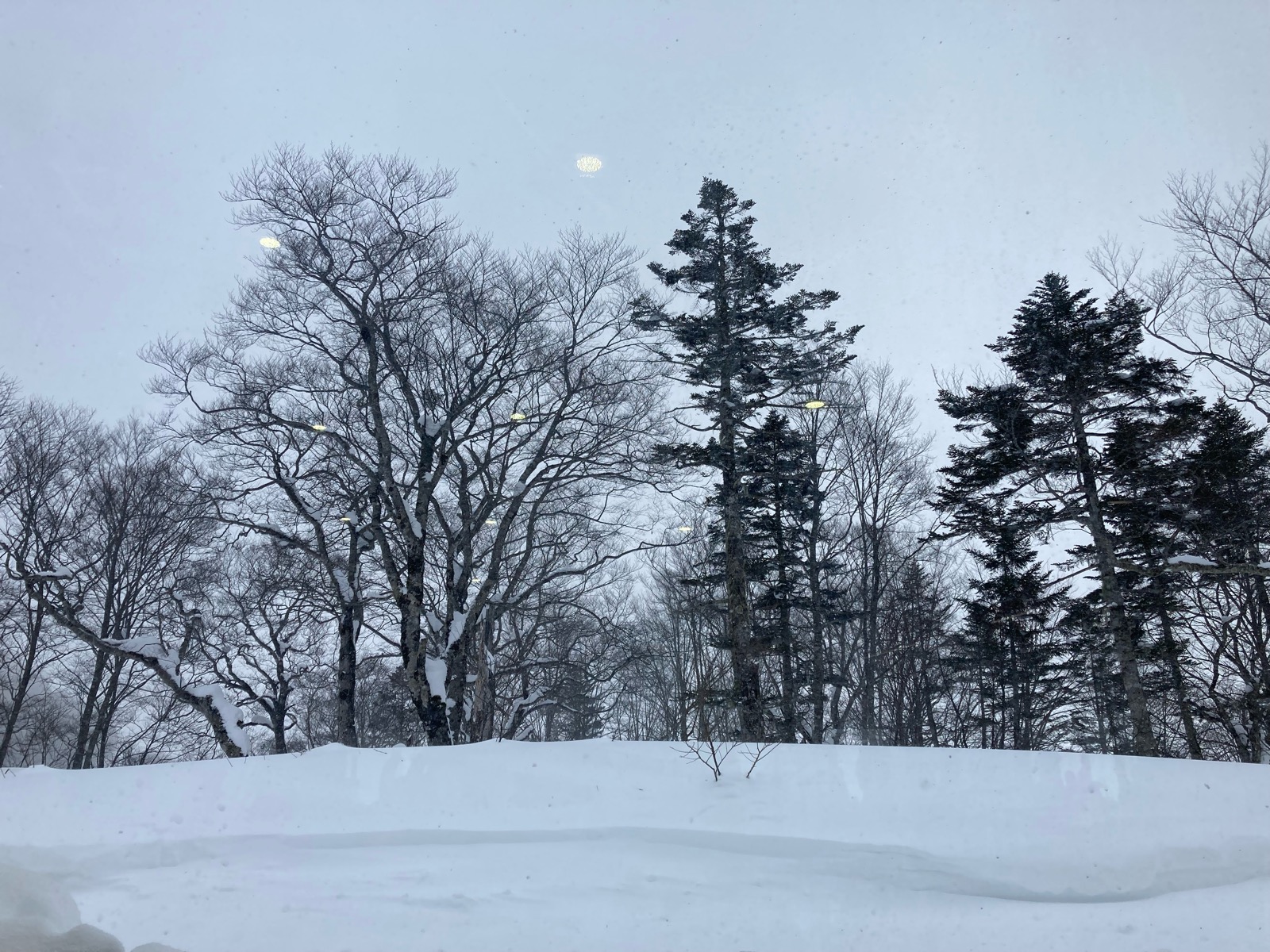 栂池高原スキー場