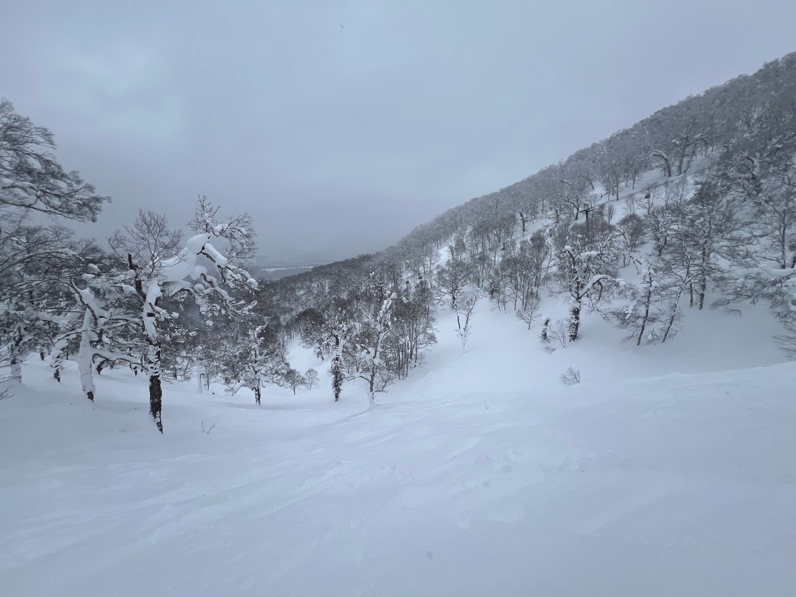 ルスツリゾート