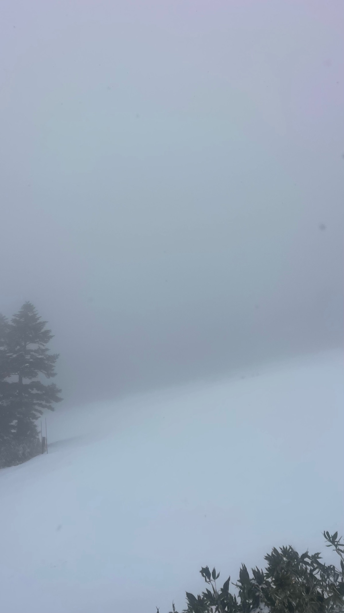 志賀高原 横手山・渋峠
