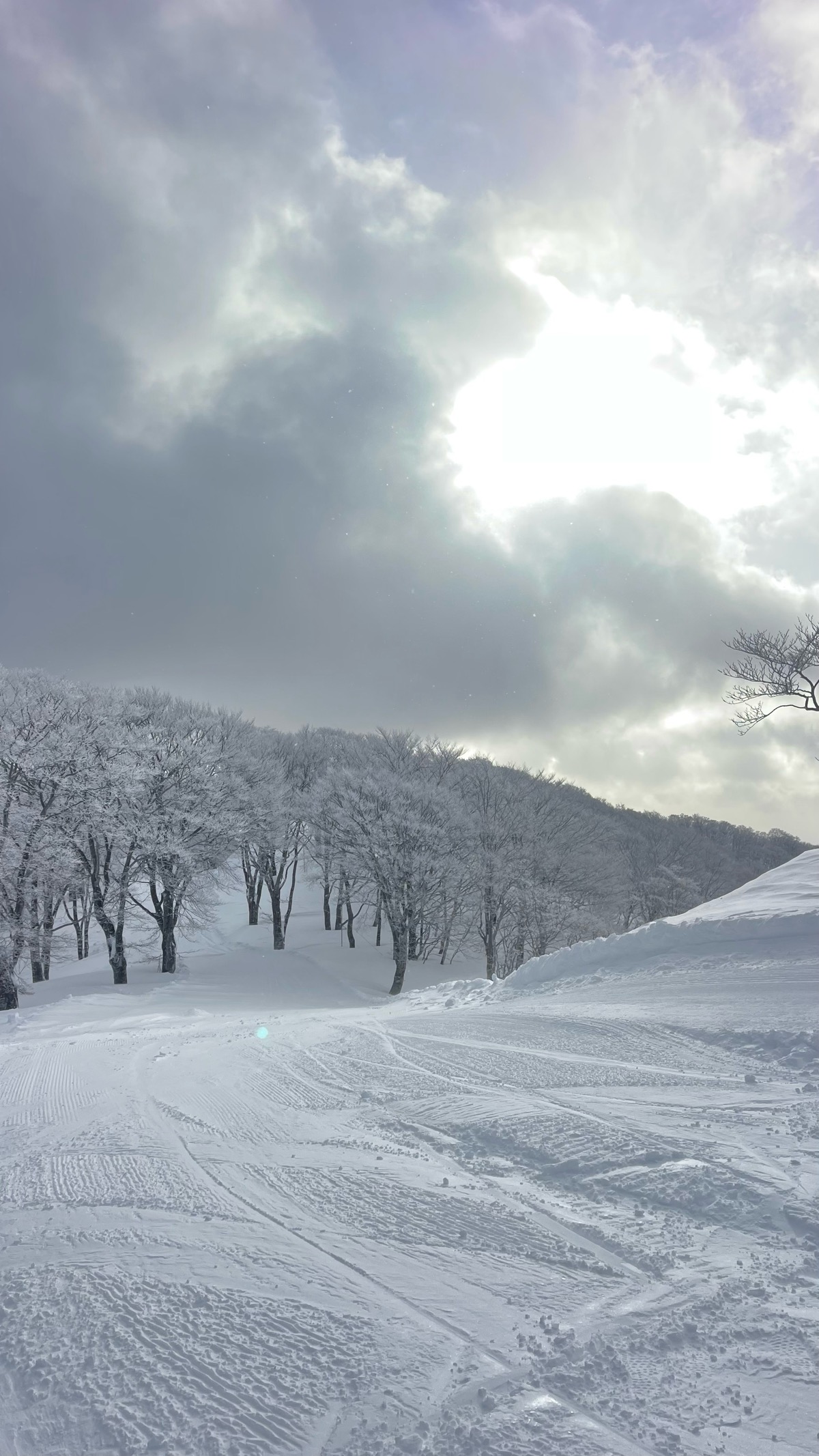 グランスノー奥伊吹