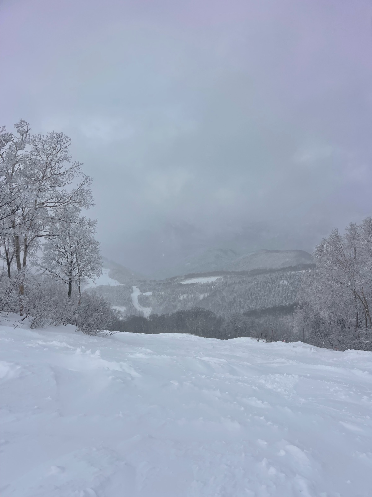 スキージャム勝山