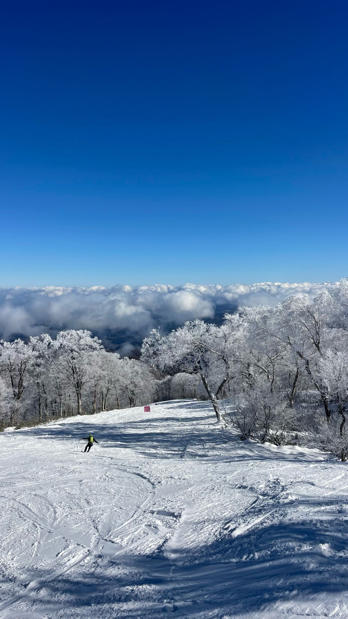 野沢温泉スキー場