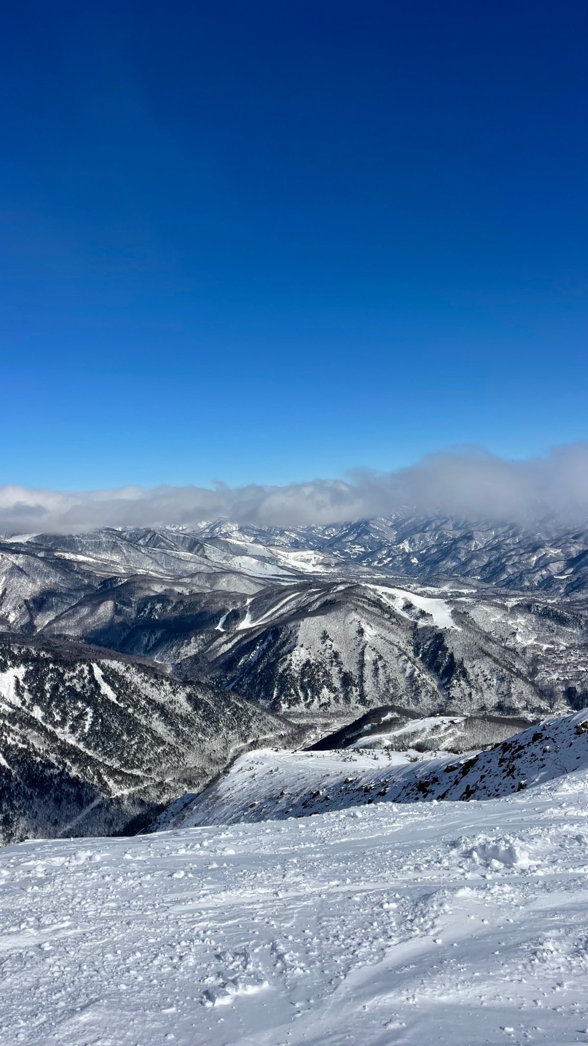 白馬八方尾根スキー場