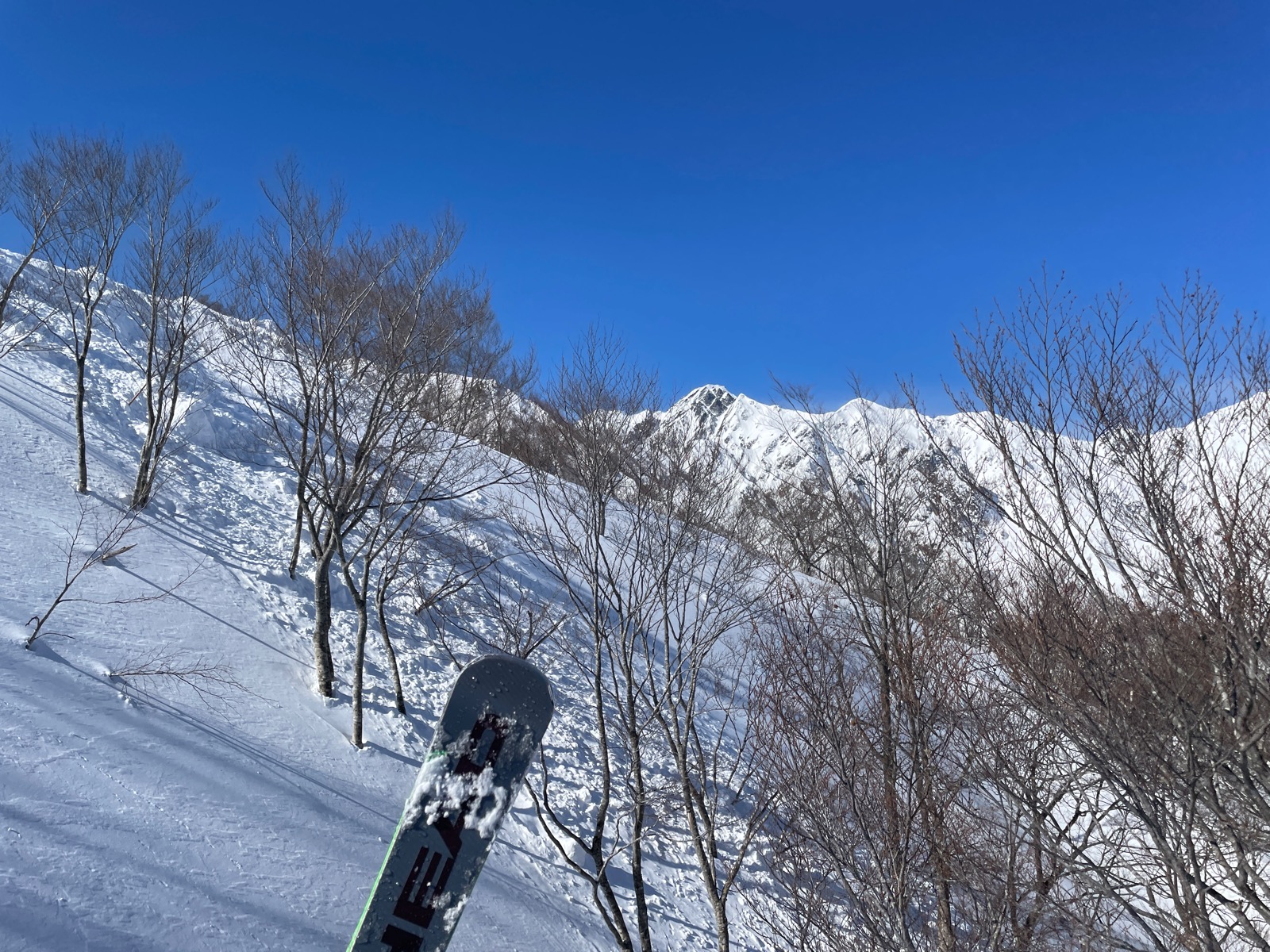 Hakuba47 ウィンタースポーツパーク 