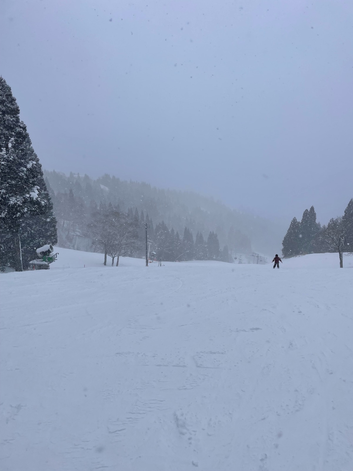 ホワイトピアたかす