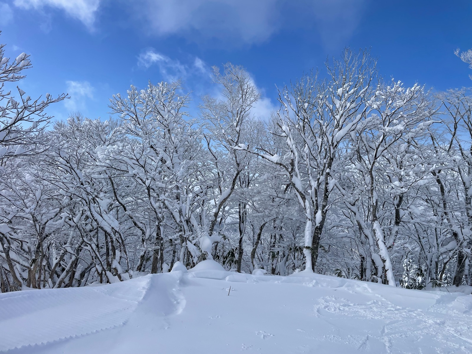 ホワイトピアたかす