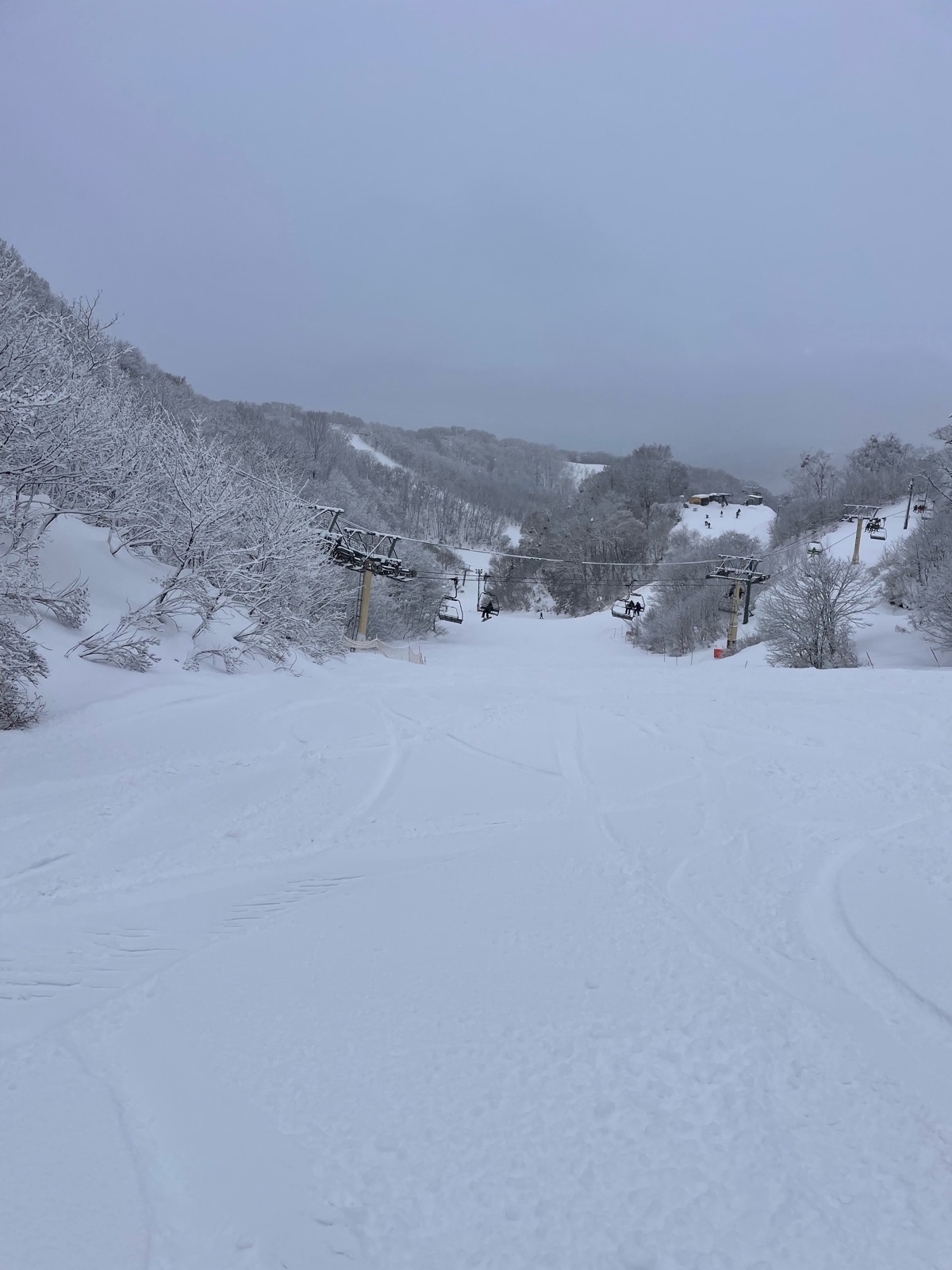 ホワイトピアたかす