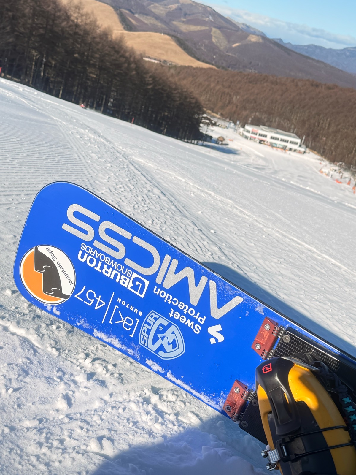 しらかば2in1スキー場