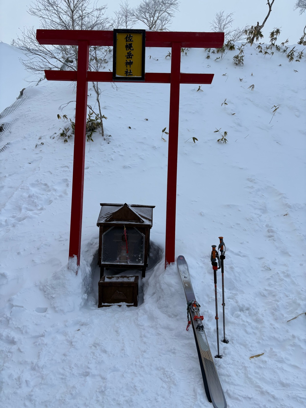 サホロリゾートスキー場