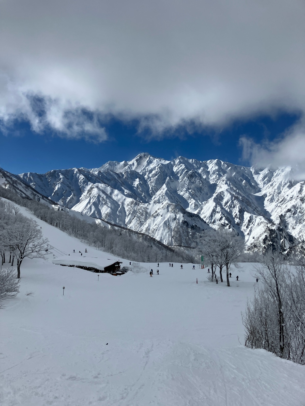 Hakuba47 ウィンタースポーツパーク 