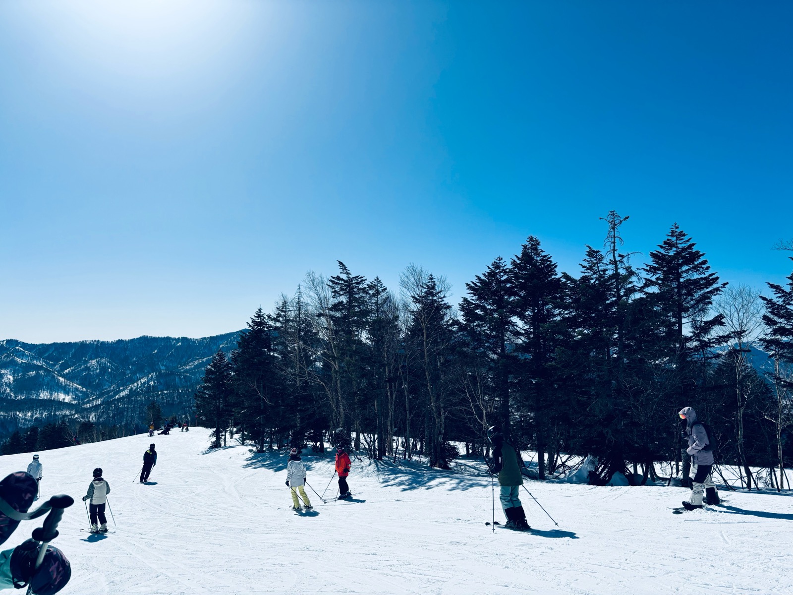 志賀高原 焼額山