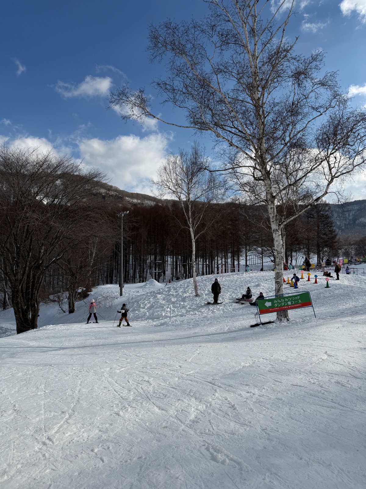 水上高原スキーリゾート