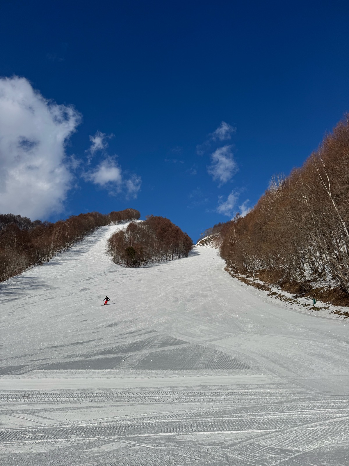 ホワイトワールド尾瀬岩鞍スキー場