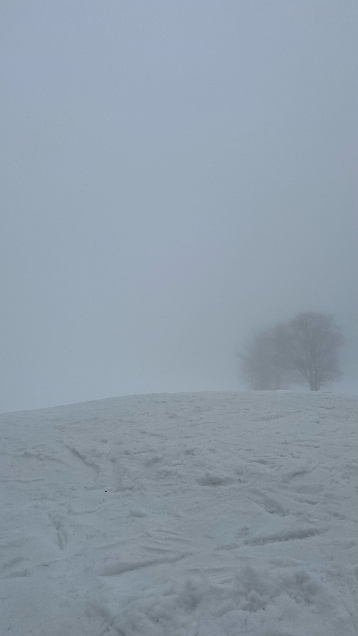 スノーウェーブパーク白鳥高原