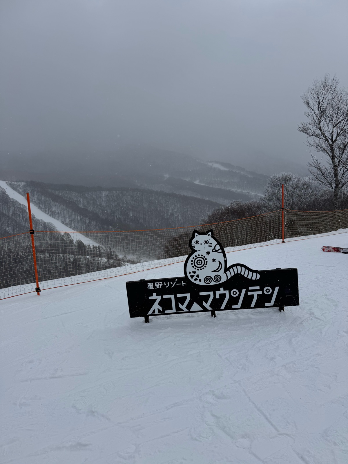 星野リゾート ネコマ マウンテン（南エリア）