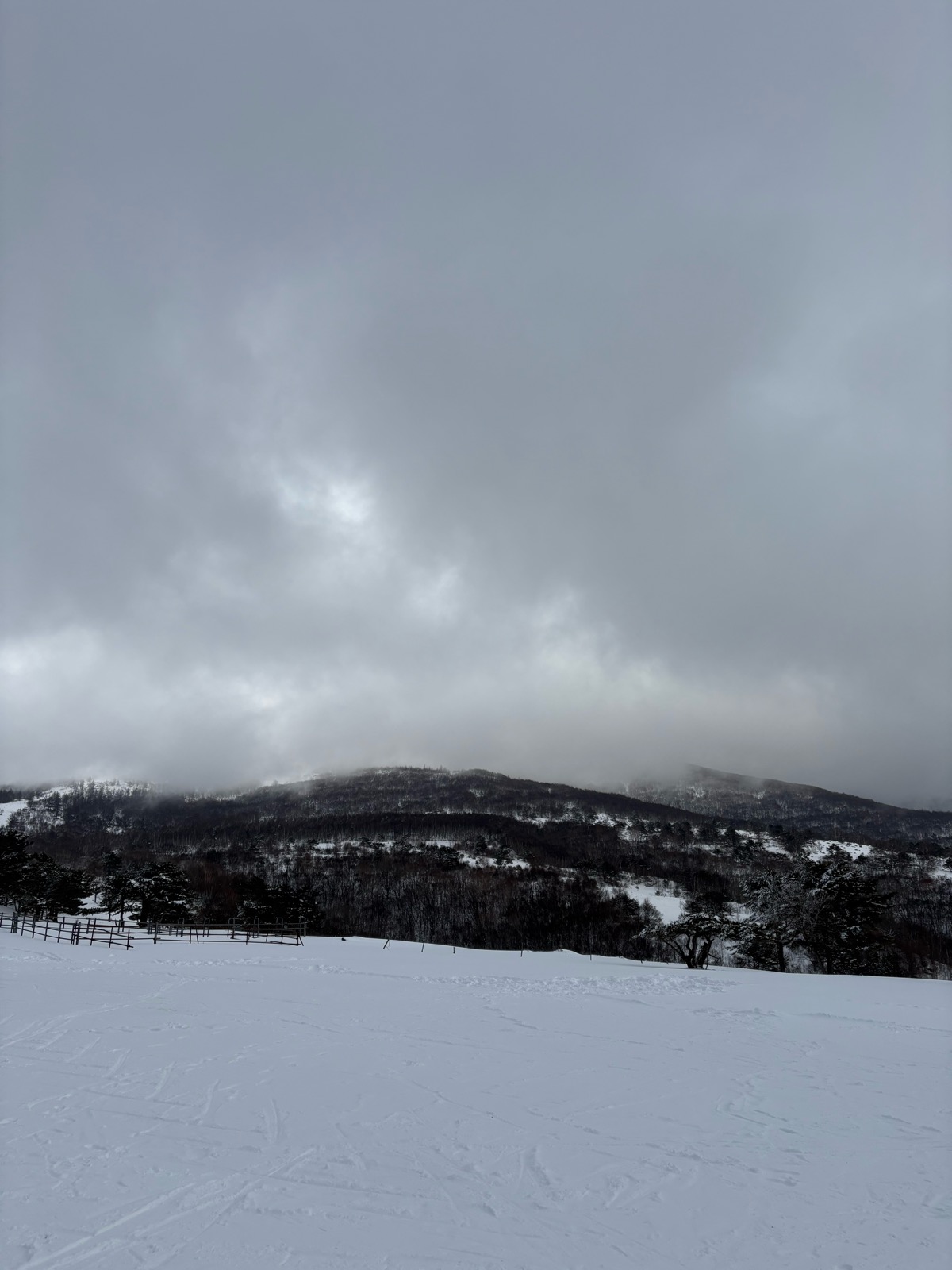 菅平高原スノーリゾート