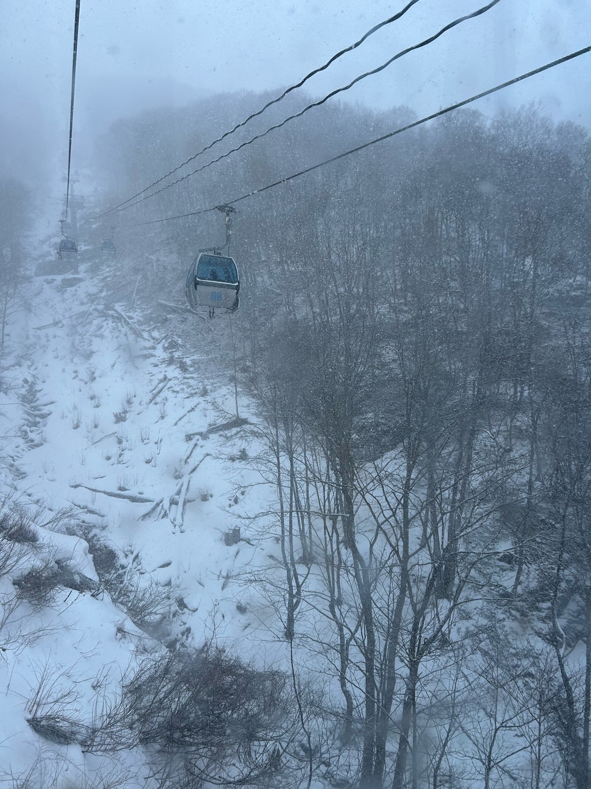 ホワイトワールド尾瀬岩鞍スキー場