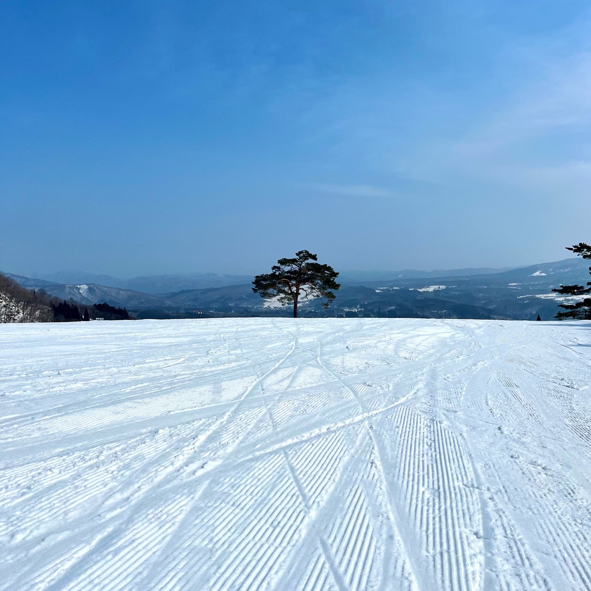 高鷲スノーパーク