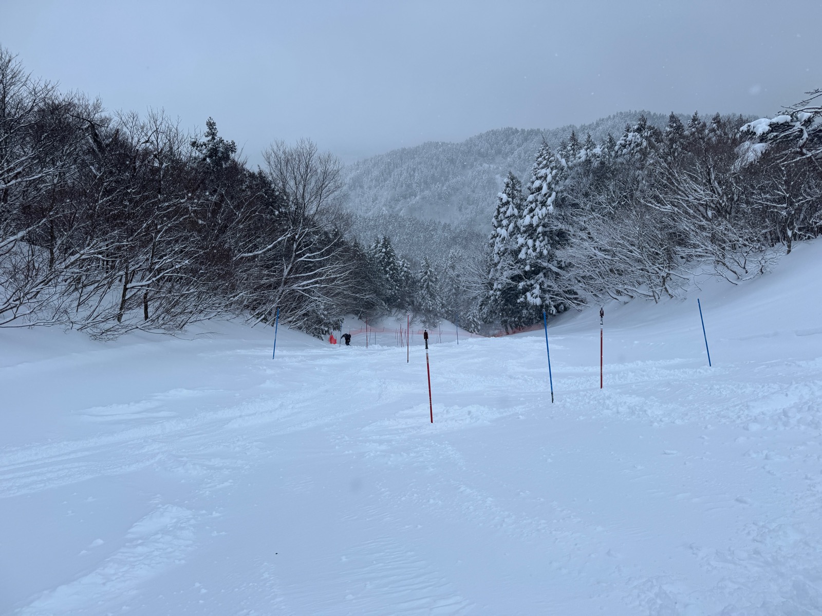 箱館山スキー場