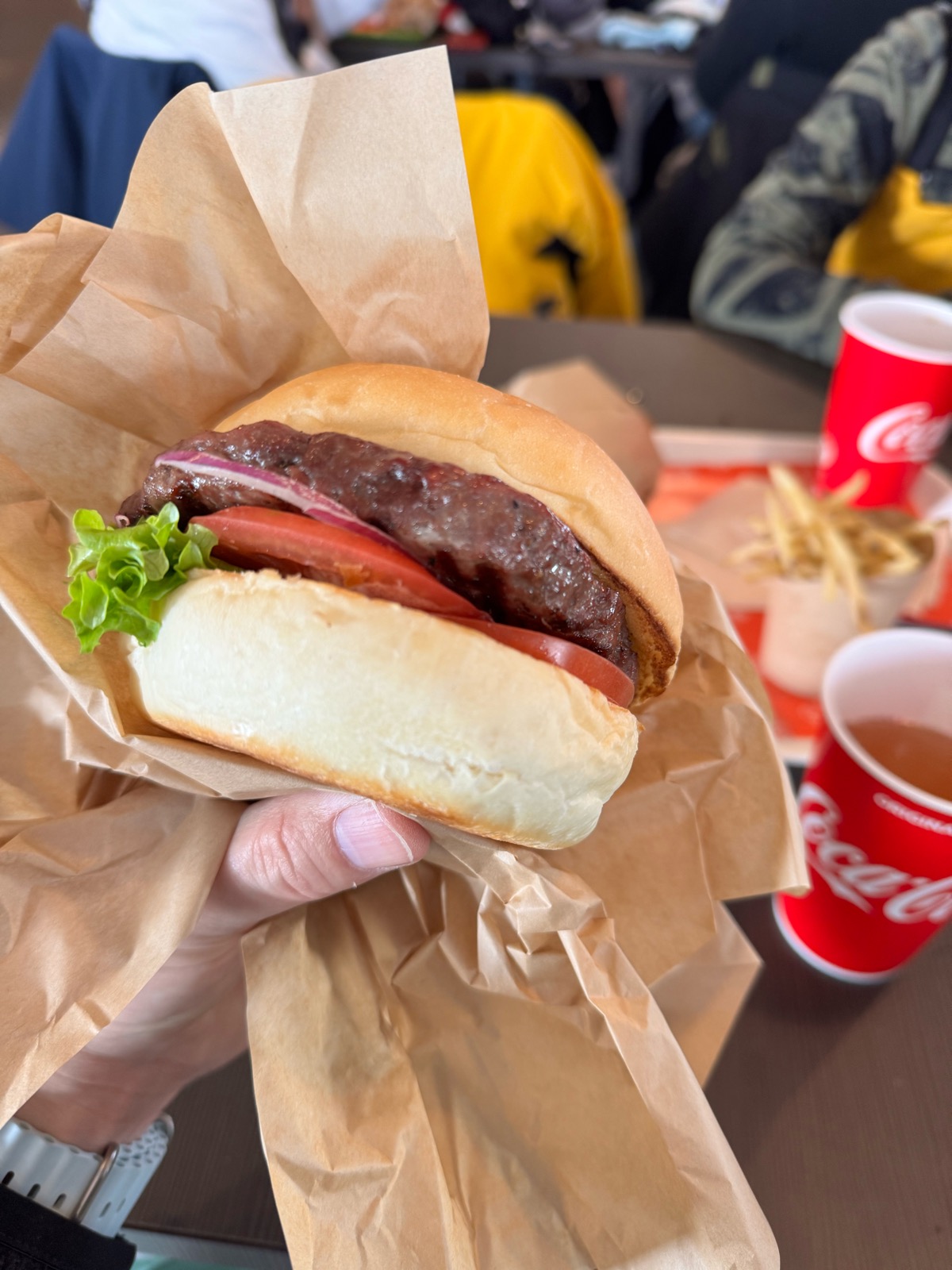 星野リゾート ネコマ マウンテン（南エリア）