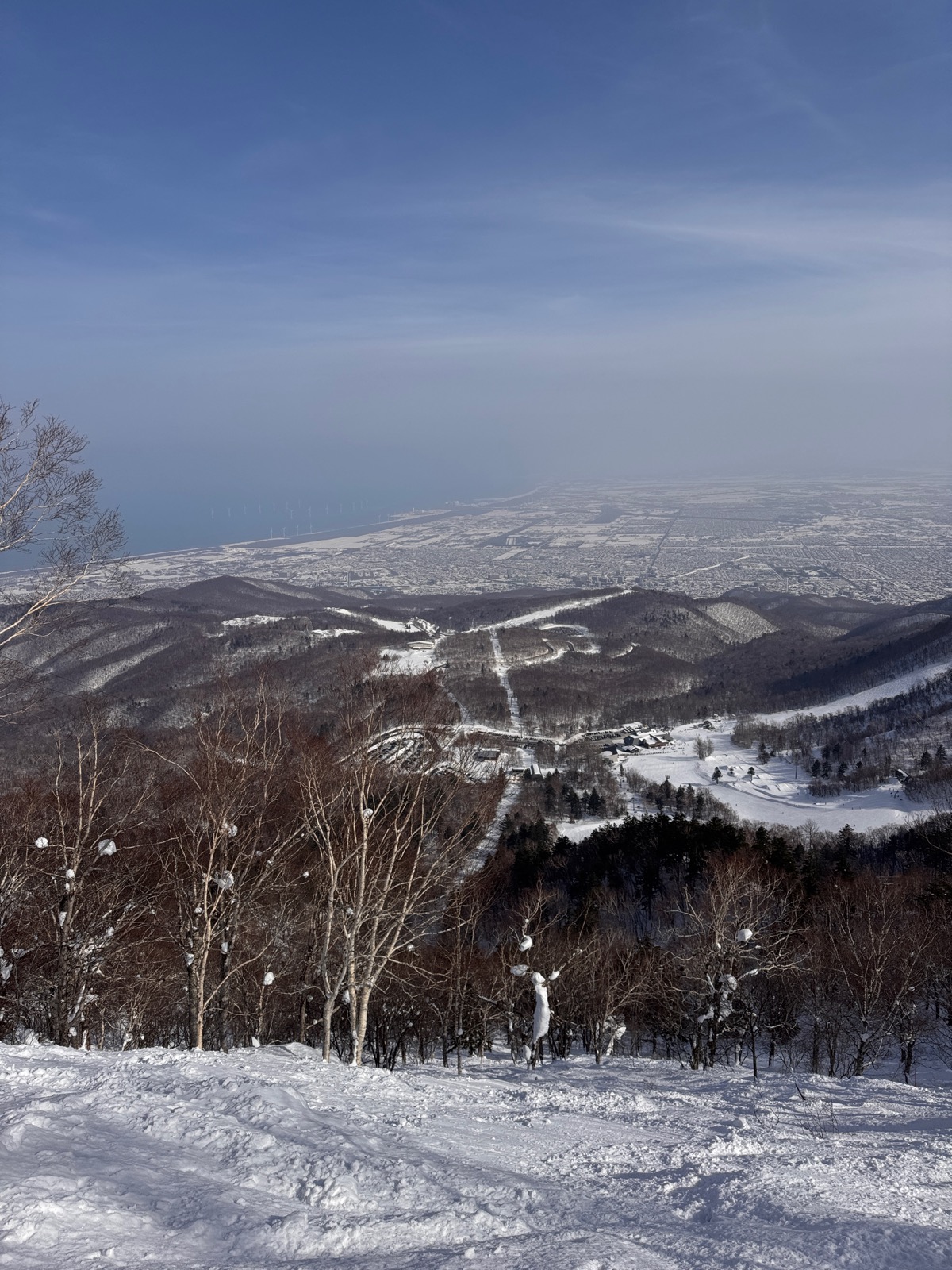 サッポロテイネ