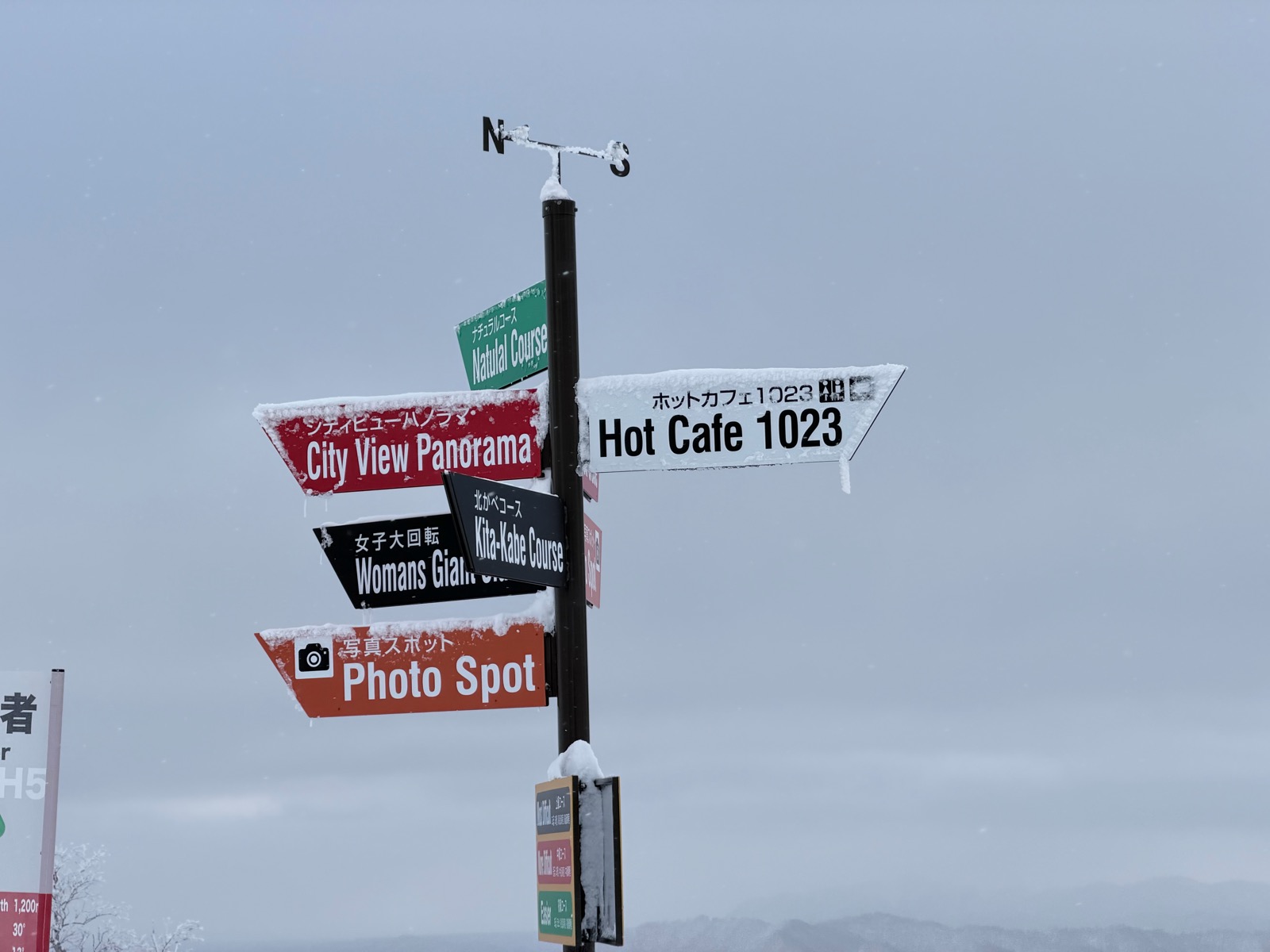 サッポロテイネ