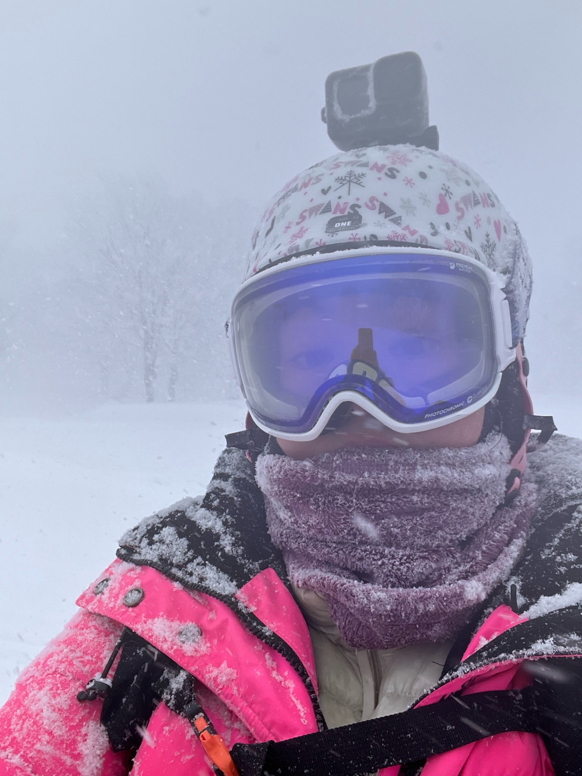 八甲田スキー場／八甲田国際スキー場