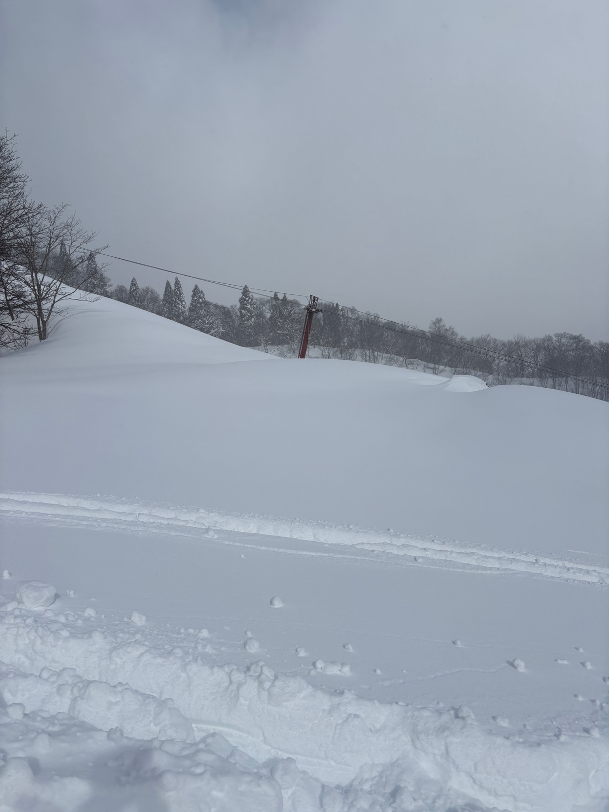 氷ノ山国際スキー場