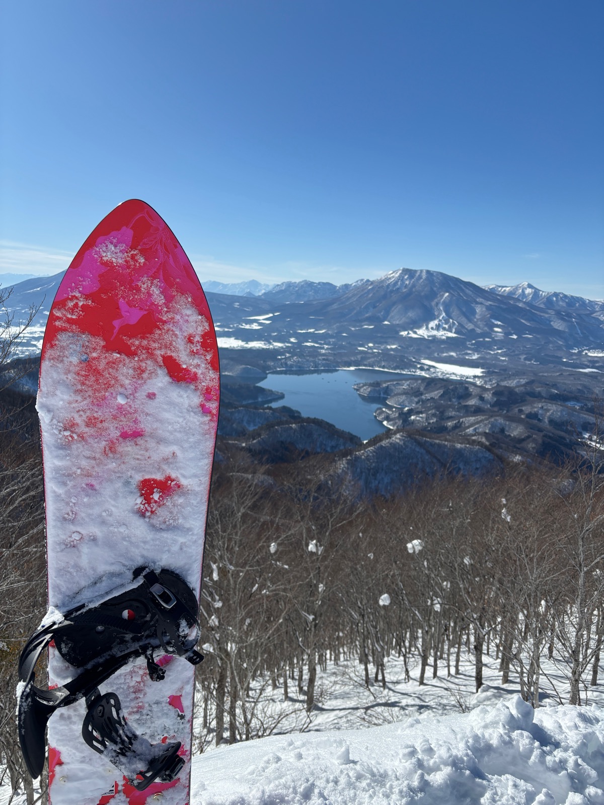 タングラムスキーサーカス