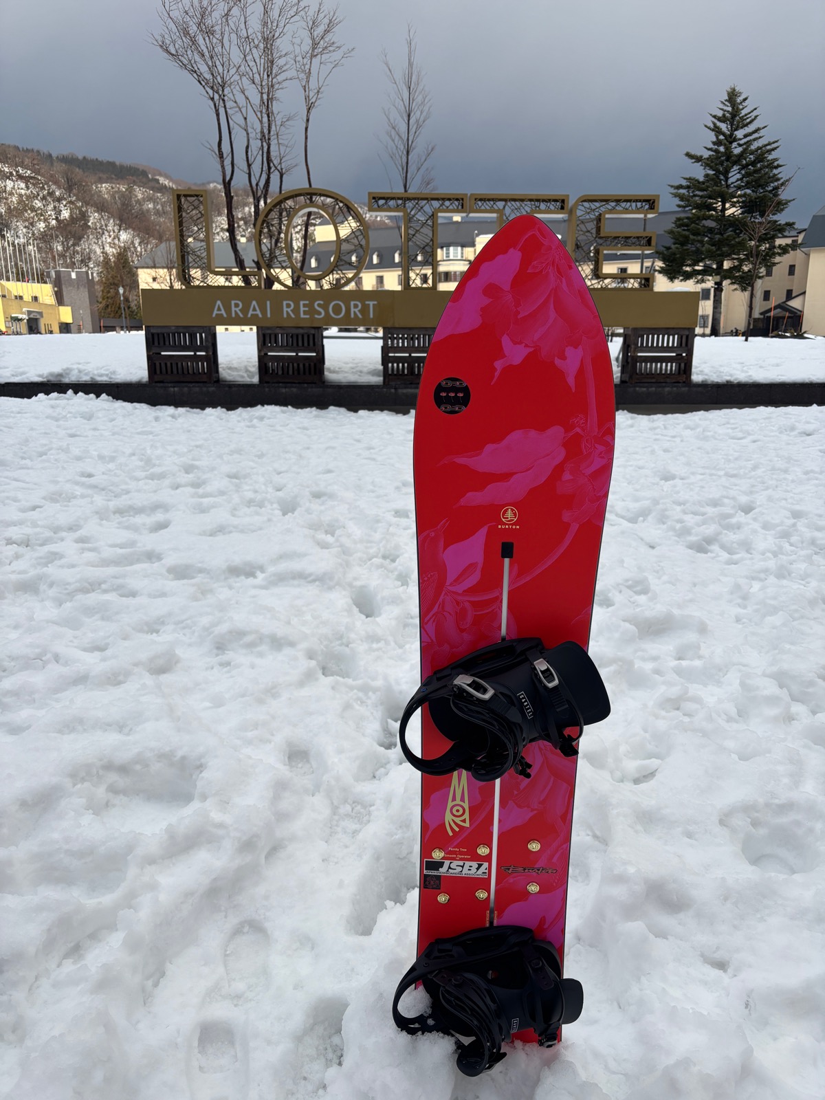 ロッテ アライリゾート