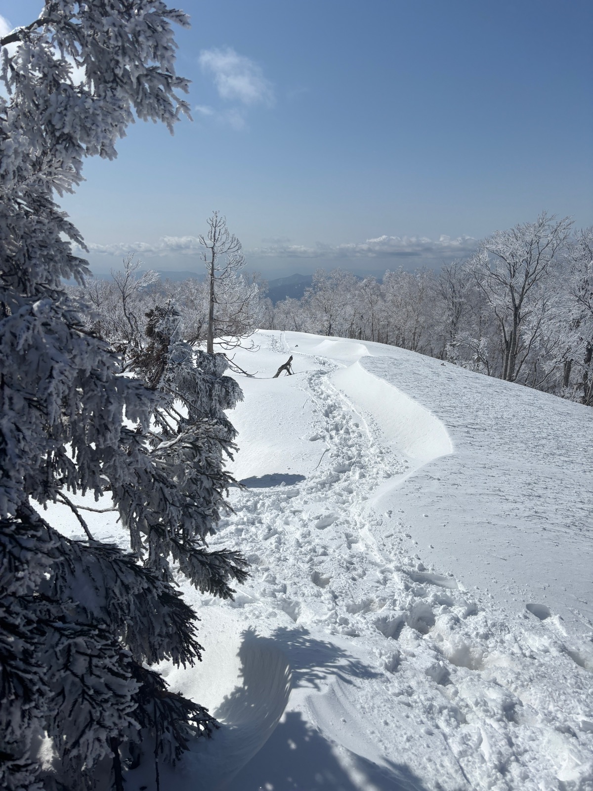 スキージャム勝山